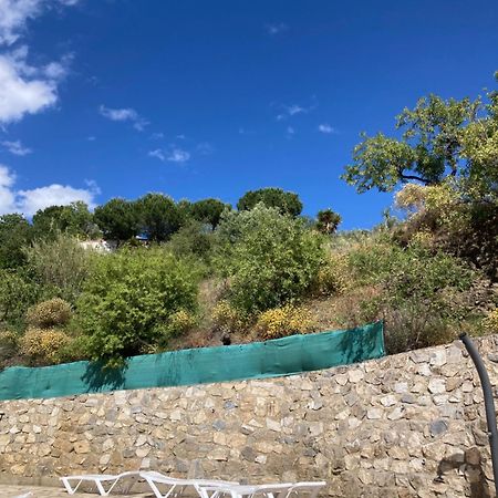 Casa Los Almendros Canillas de Albaida Eksteriør billede