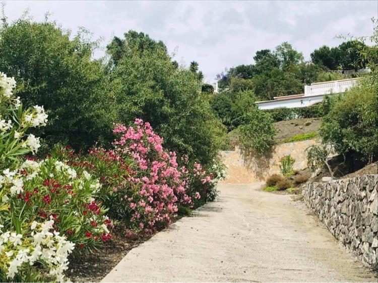 Casa Los Almendros Canillas de Albaida Eksteriør billede